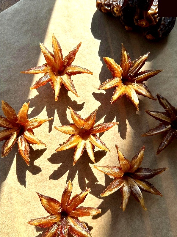 Medjool dates opened into flower-shaped petals